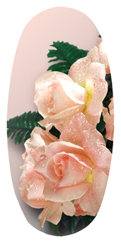 DASOV 062 Bouquet Of Roses Peach